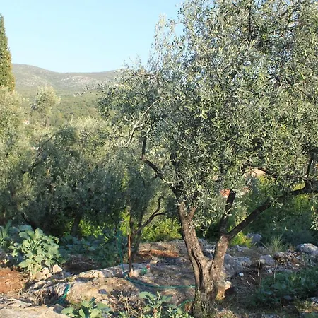 Apartament By The Sea Molunat, Dubrovnik - 8550 *