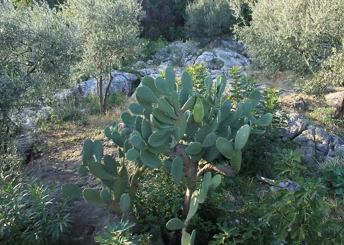 아파트 By The Sea Molunat, Dubrovnik - 8550 몰루나트