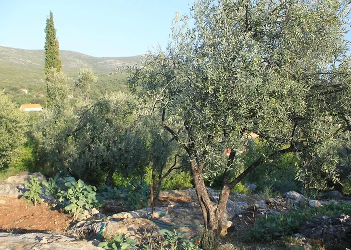 아파트 By The Sea Molunat, Dubrovnik - 8550 *